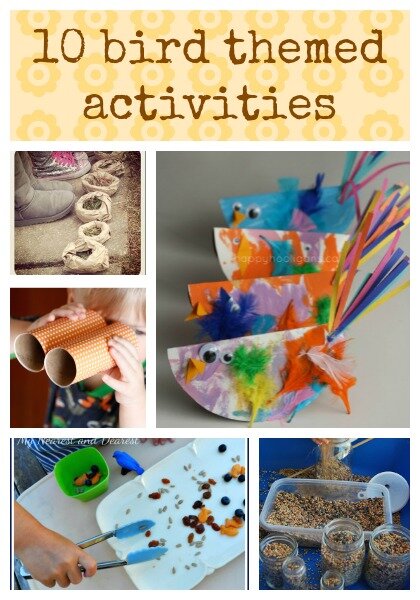 10 bird themed activities