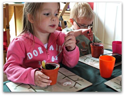 Eating worms in mud pudding