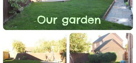 A family garden