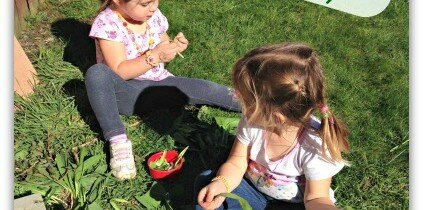 Outdoor free play