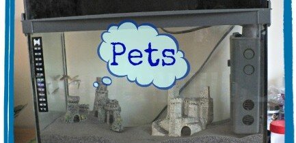 Pets