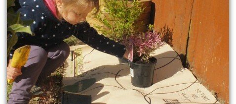 Planting by letters